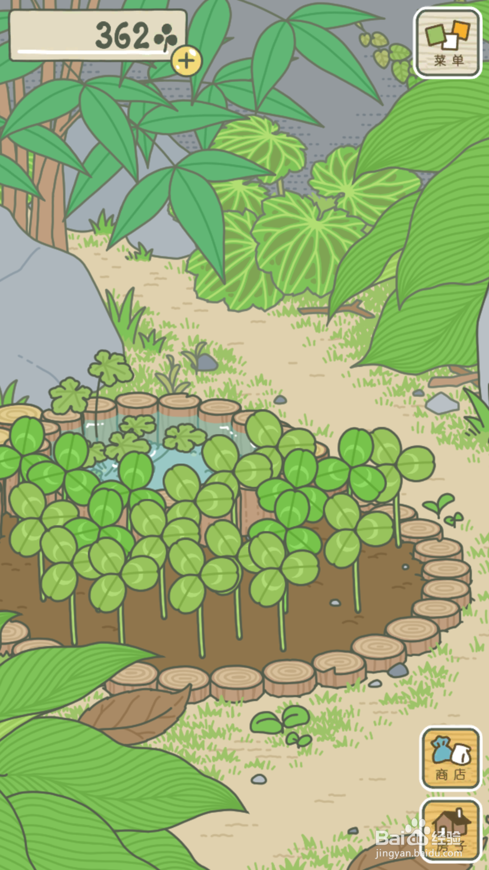 旅行青蛙的四叶草如何得到？