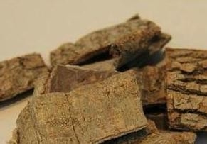 偏方让你远离疾病：[25]治肾虚腰酸
