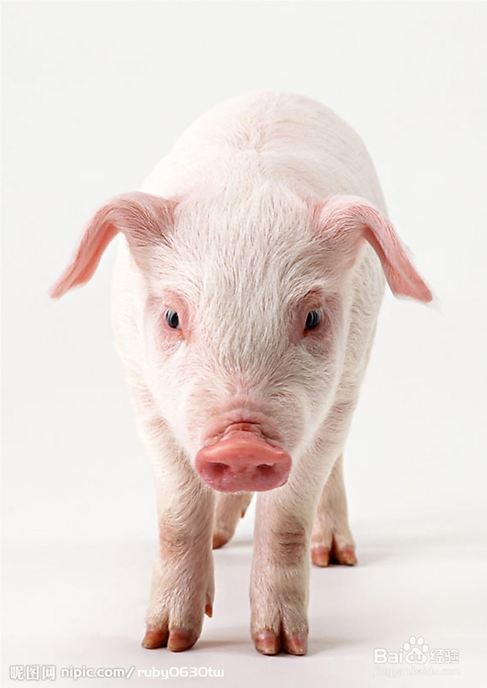 数百个你不知道的小知识：[2]