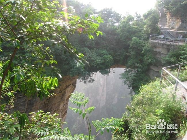 张家界自助游如何选择合适的价格