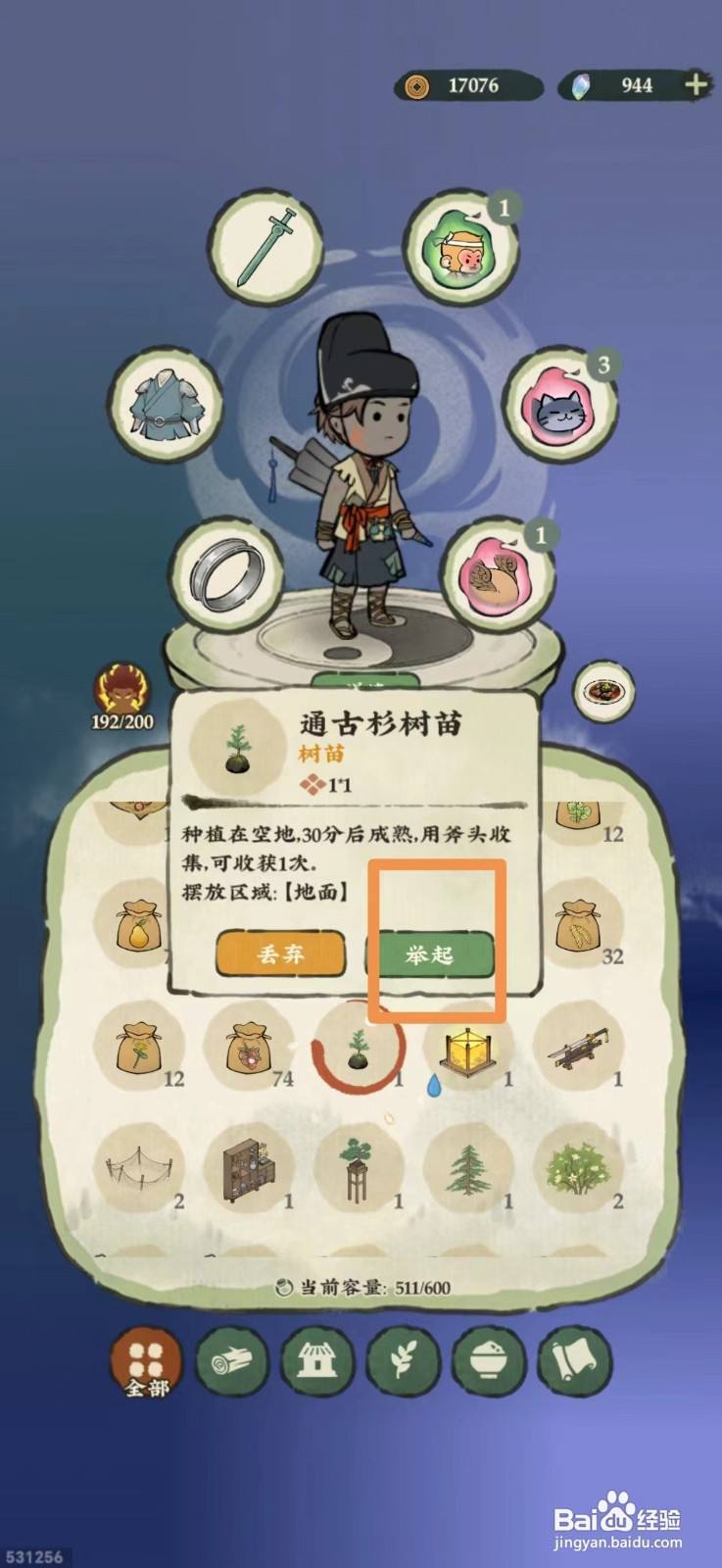 仙山小农怎么种植通古杉树苗