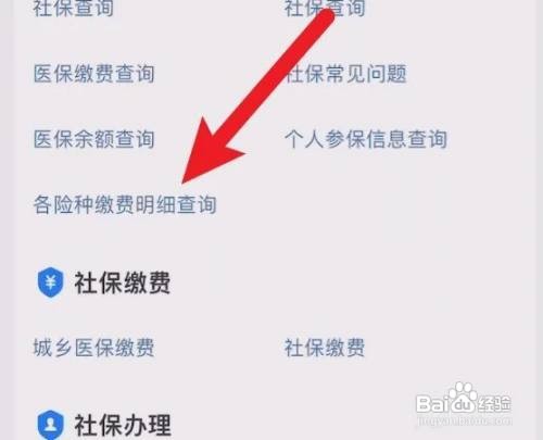 在哪里查社保缴费记录