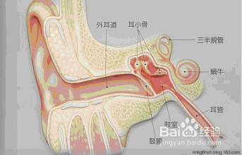 肝火旺怎么调理?吃什么好？