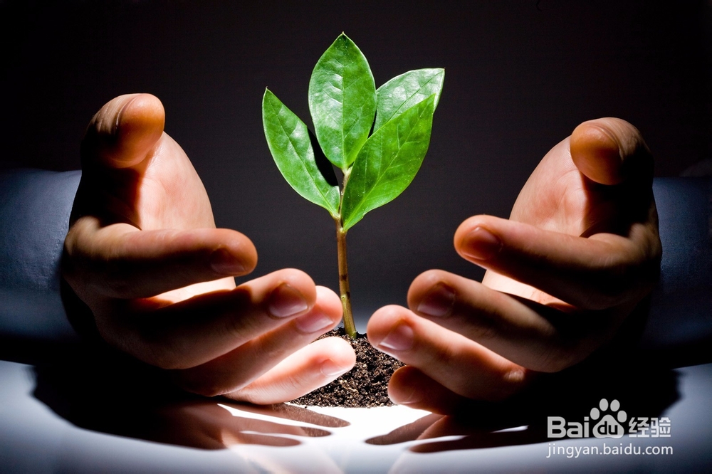 如何开拓美容院加盟店客源的10大招式?