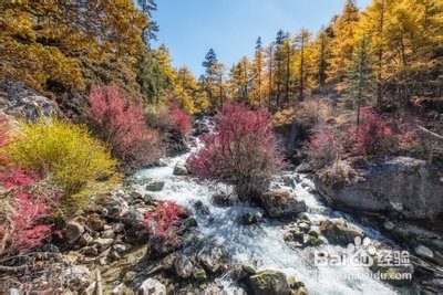 稻城亚丁旅行攻略