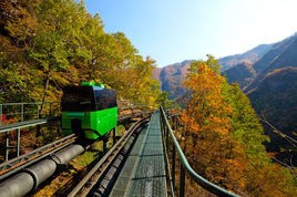 观光小火车魅力在那些景区体现出最大利益