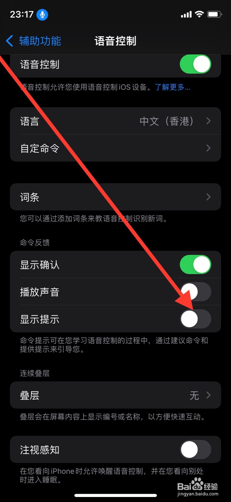 iPhone语音控制开启显示提示