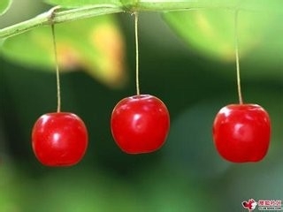 哺乳期饮食注意的几个要点