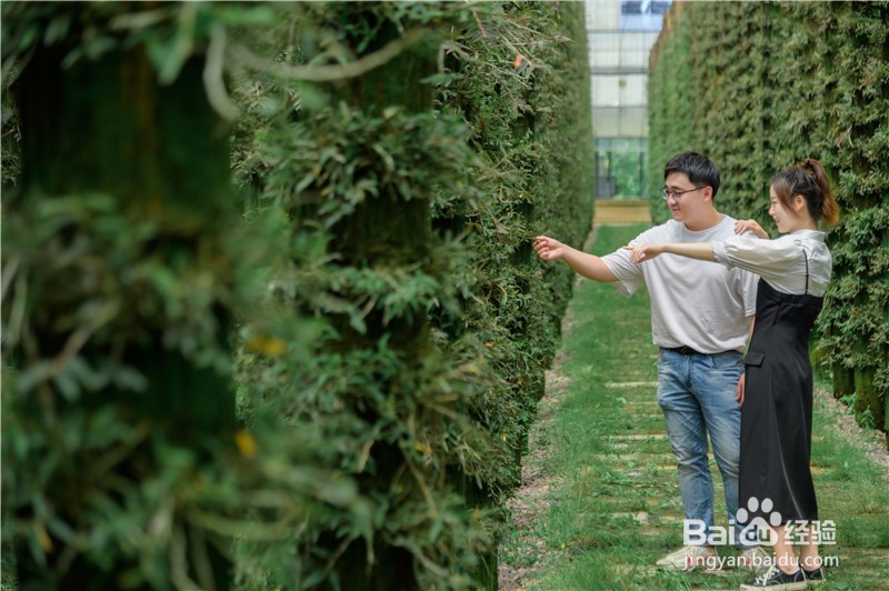 铁定溜溜乐园游玩攻略