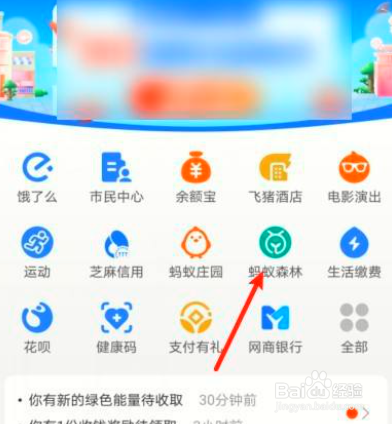 蚂蚁森林如何才能进行种树