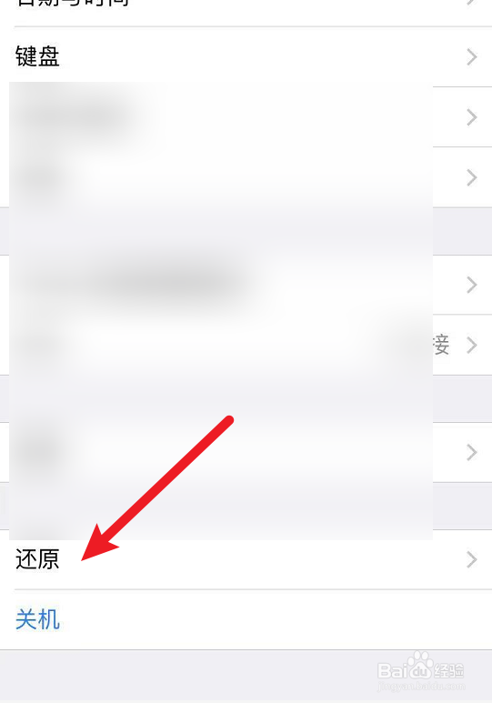 苹果手机有流量开着数据网络却用不了