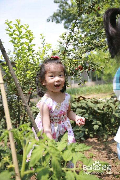 端午假期第二天