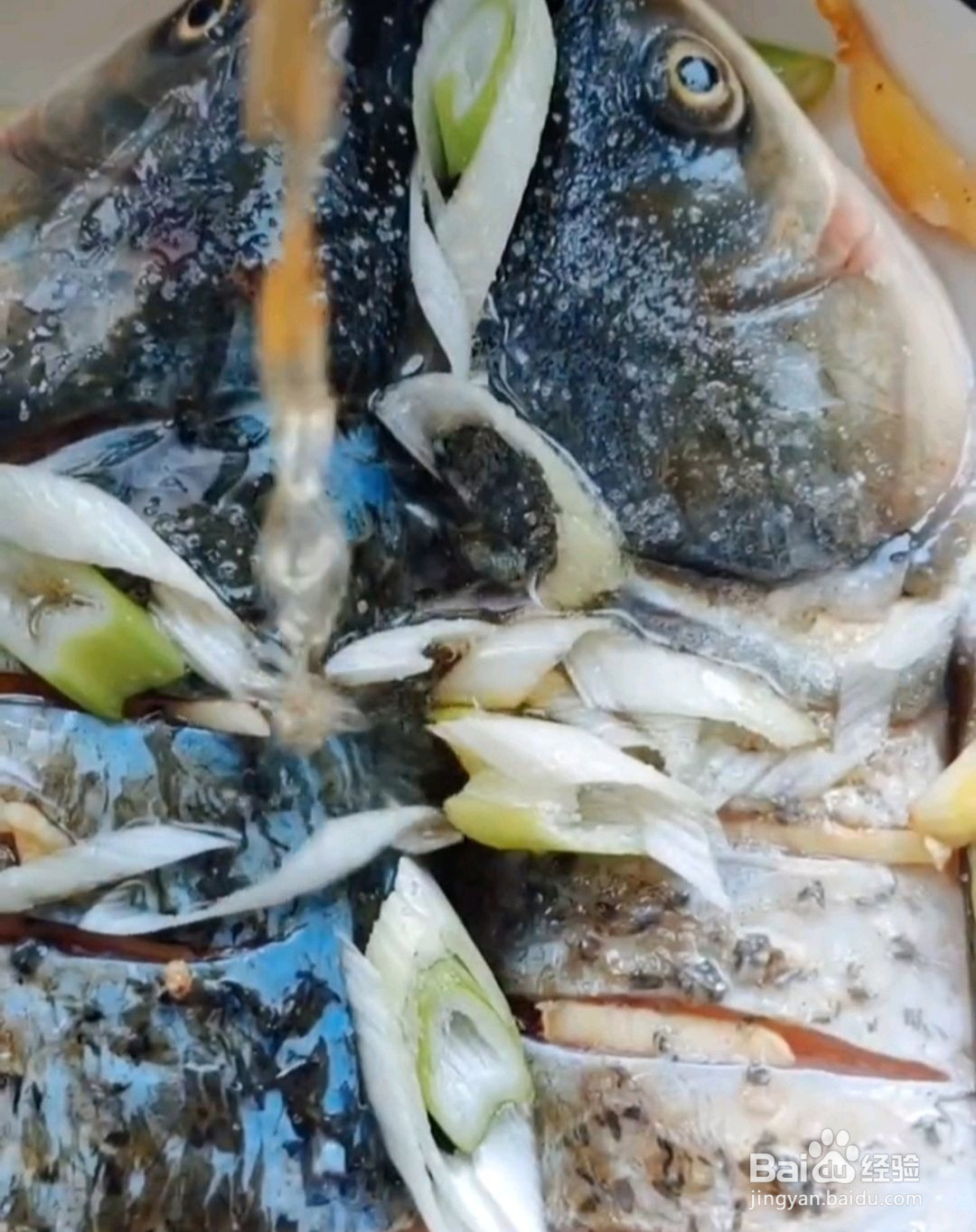 双椒鱼头的做法