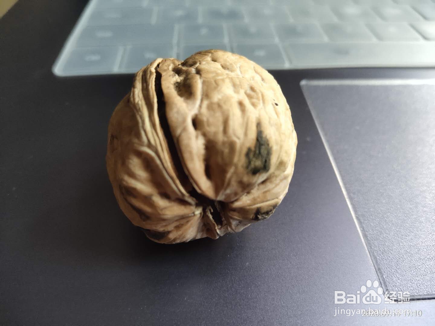 如何快速的剥核桃皮