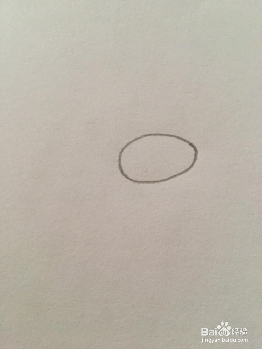 简笔画动物小毛驴