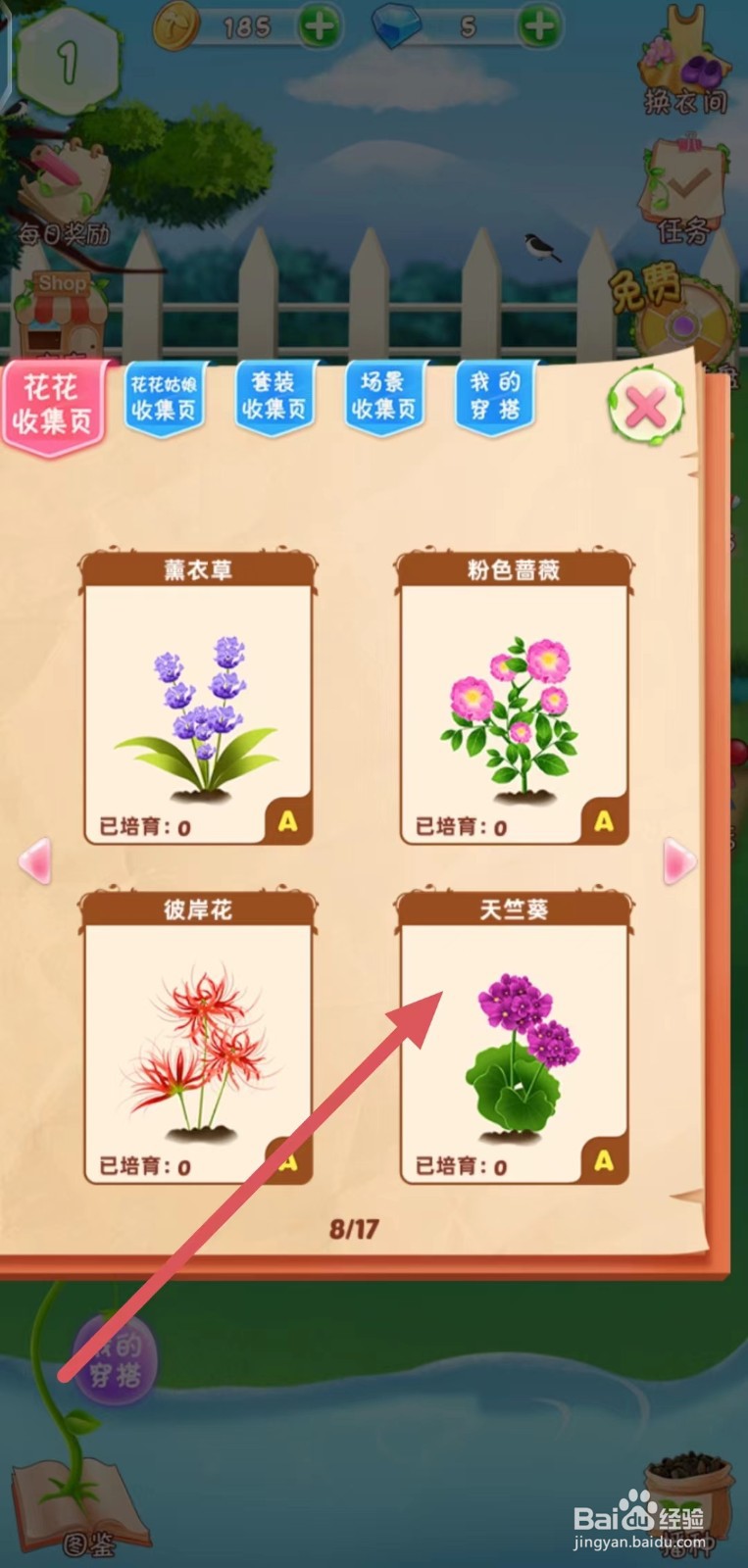 花花姑娘之魔法花园怎么查看天竺葵的生长速度
