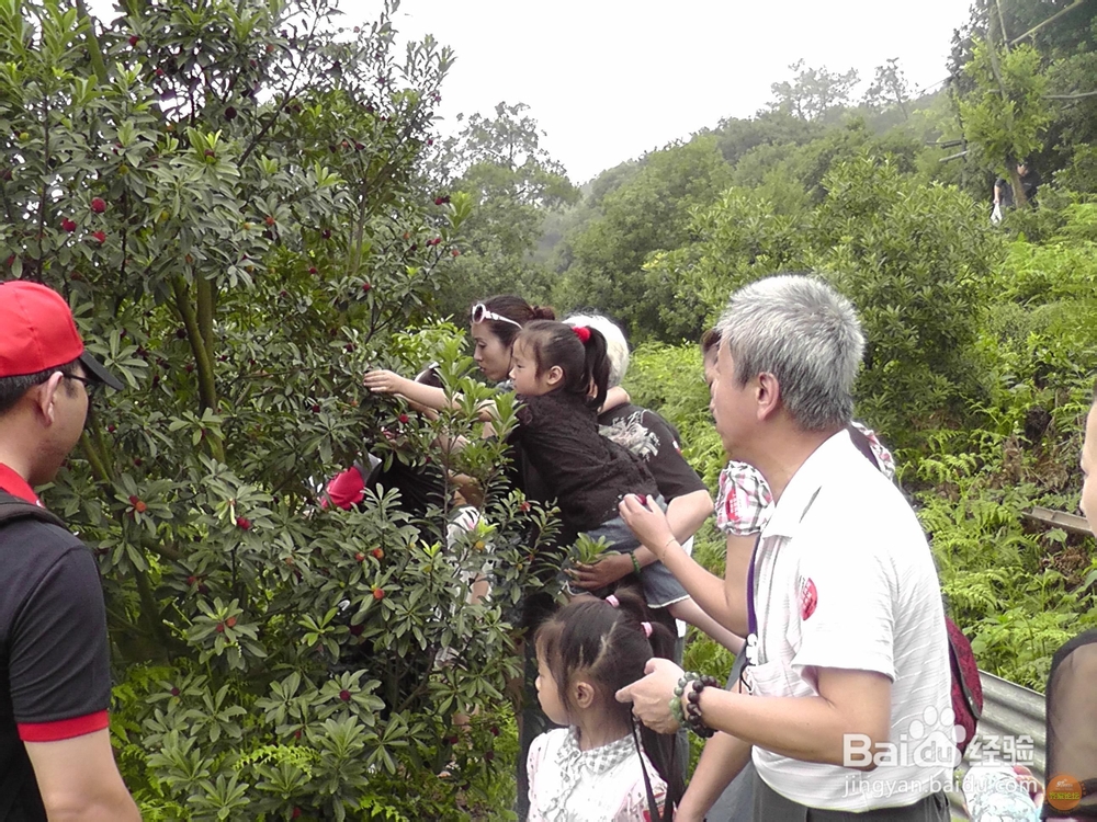 白河峡谷旅游全攻略