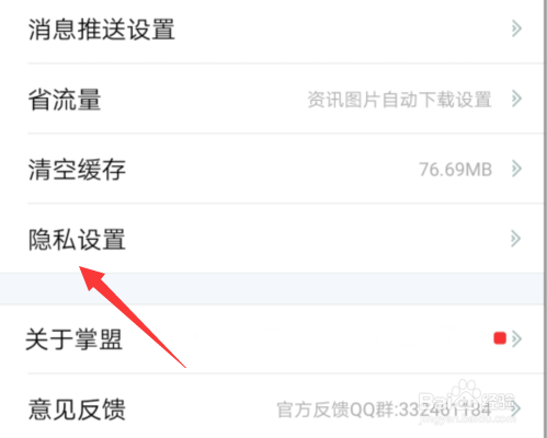 掌上英雄联盟怎么不公开游戏资产