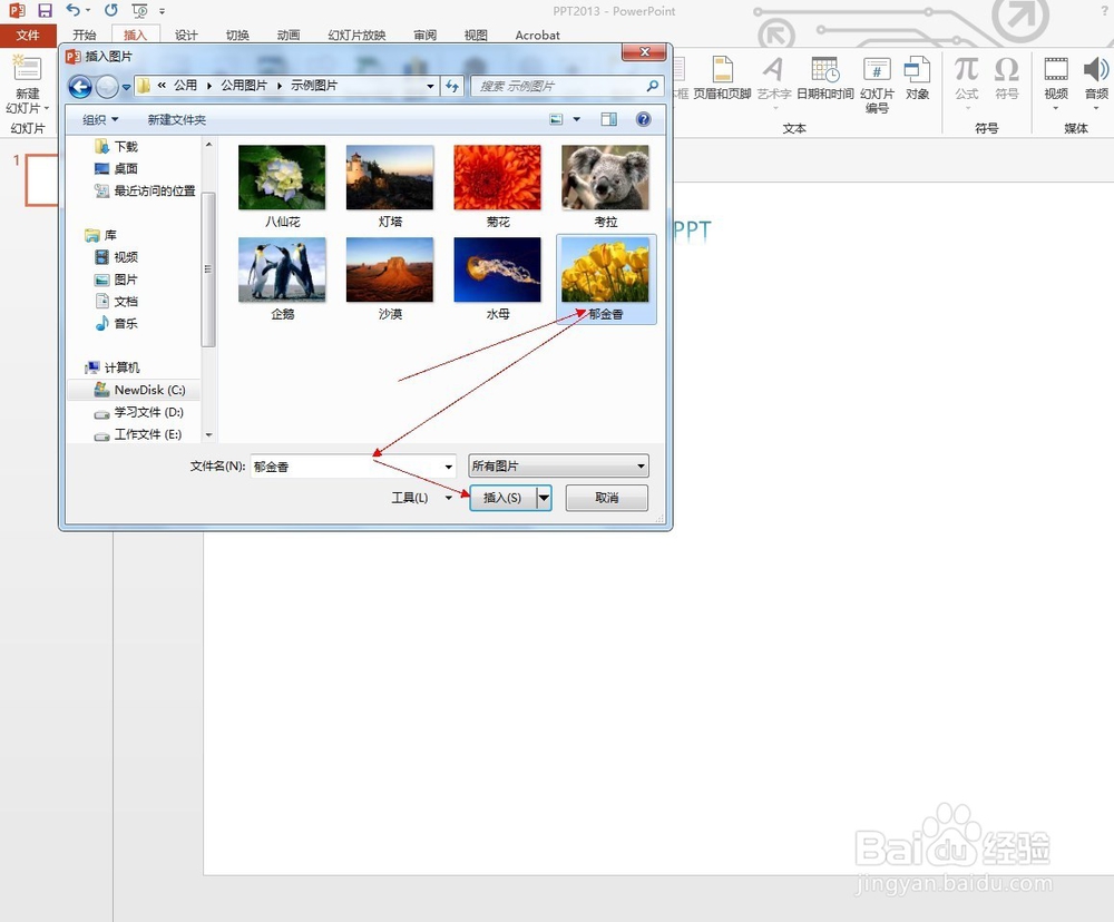 在PPT中如何插入图片