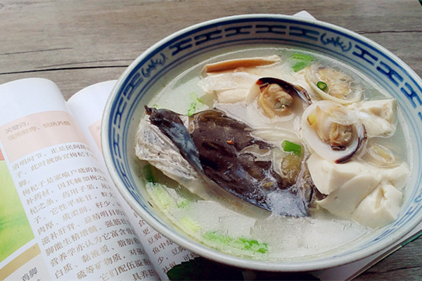 豆腐鱼头白贝汤