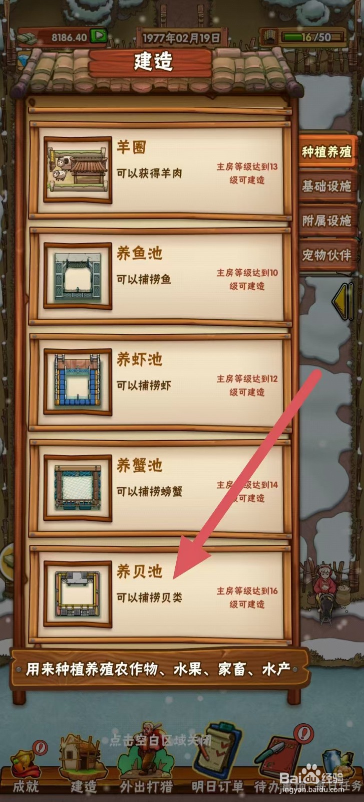 外婆的小农院怎样建造【养贝池】