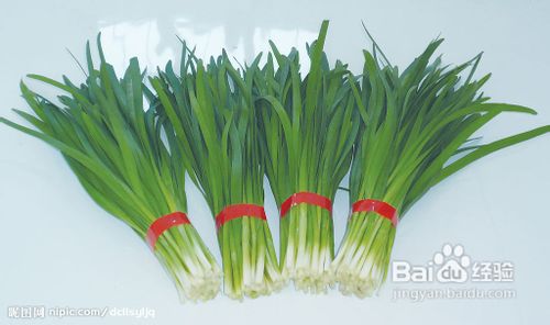 女人肚子怎么减肥？