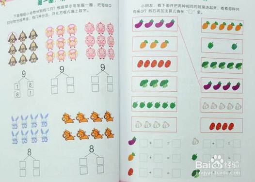 幼儿园数学领域核心经验