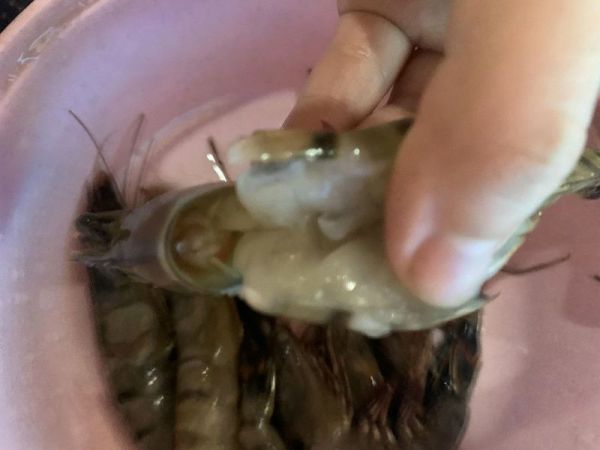 蒜蓉粉丝蒸黑虎虾