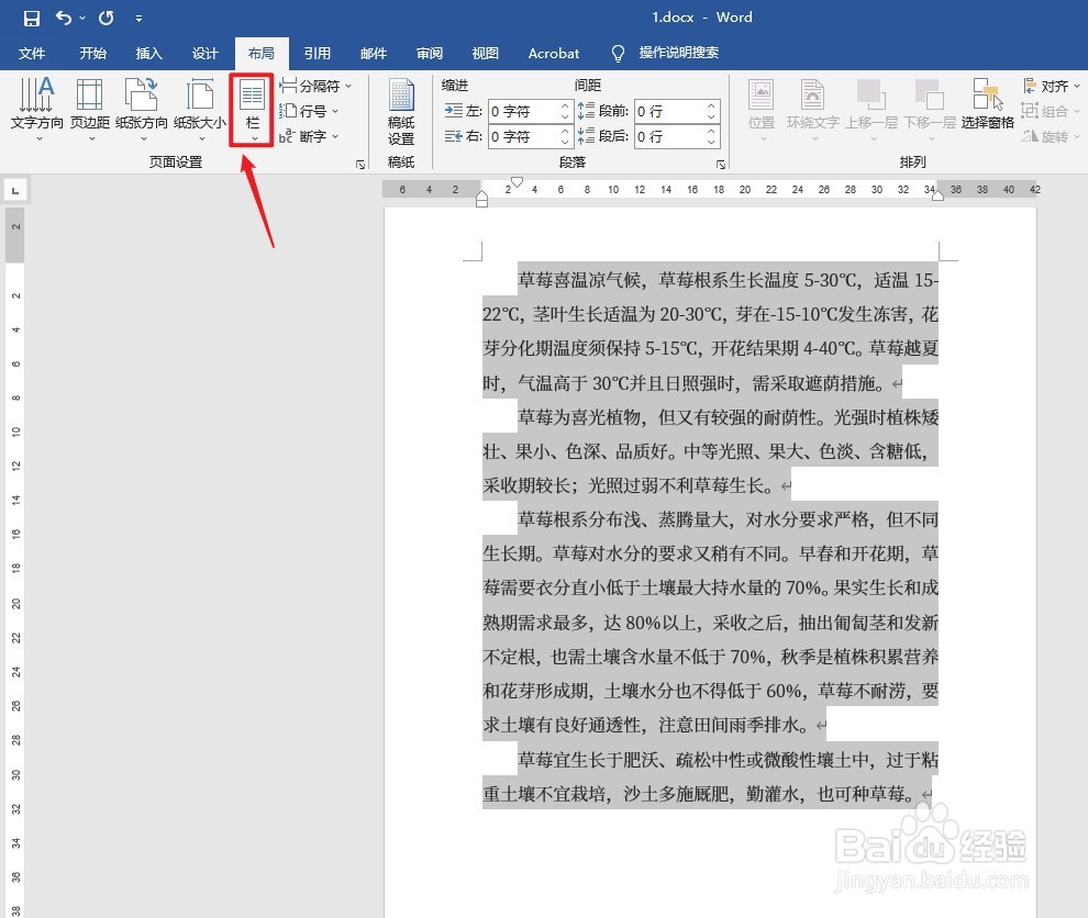 文档分栏怎么设置