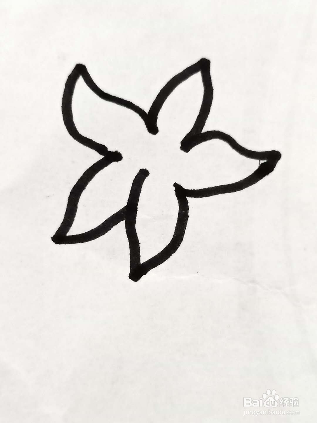 怎样画百合花