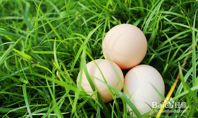 如何挑选鸡蛋