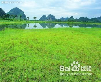春天容易犯困怎么办
