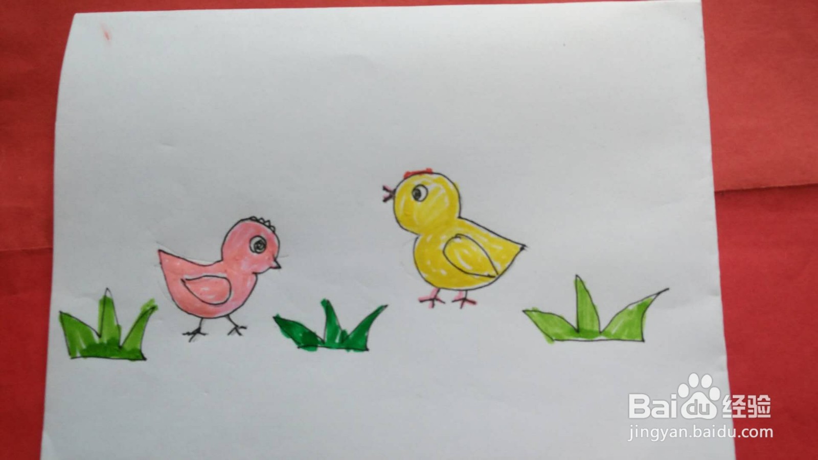 小鸡简笔画图片彩色