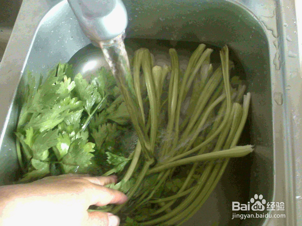 怎样做好炒旱芹菜地瓜粉的备料