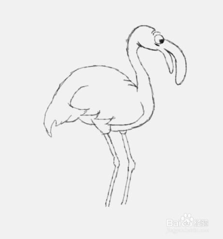 简笔画火烈鸟是怎么画的