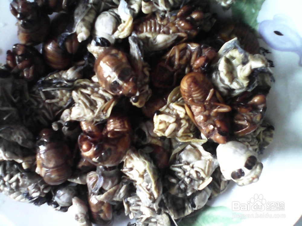 农家小院油炸知了猴美味可口