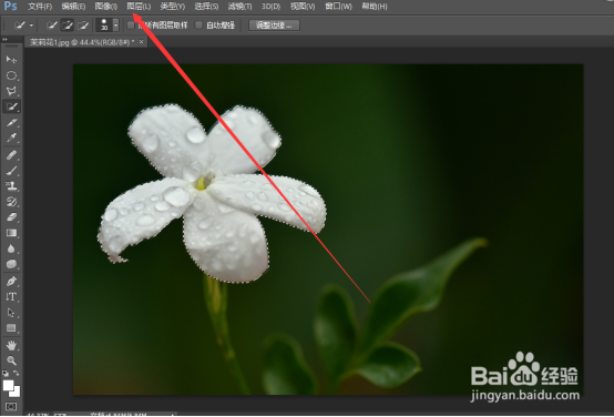PS怎么给茉莉花染色