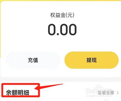 美团app怎么查看支出明细
