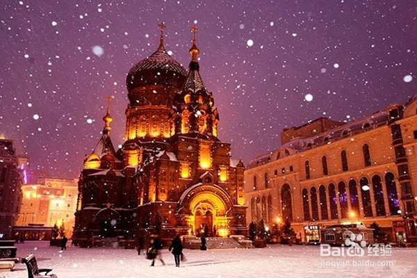 最全哈尔滨旅游攻略——吃喝玩乐享不停