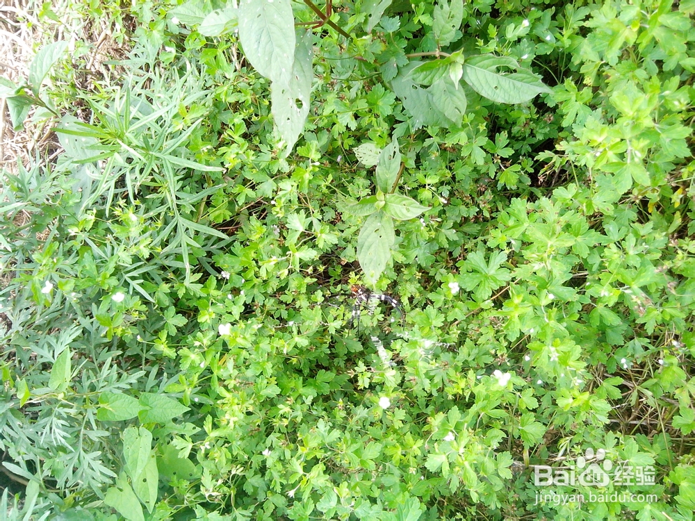 怎么样找兼职和避免其中陷阱