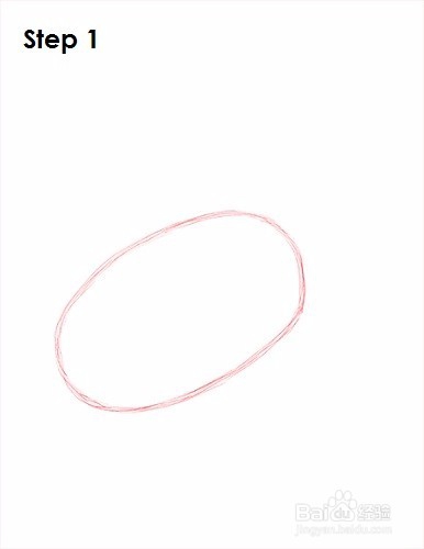 如何画一只鹈鹕——加菲的吃货生活