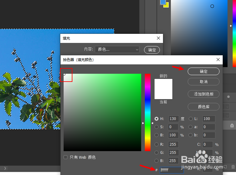 照片蓝底换成白底怎么换