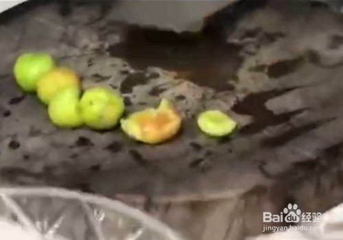 炒猪肠怎么炒好吃（李子炒猪肠）