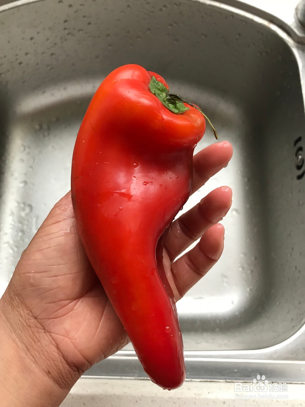 红辣椒炒黑木耳