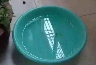 装修过的房子怎么去除甲醛?