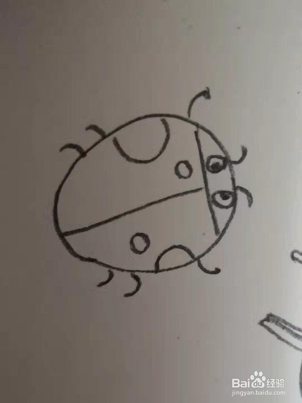 如何画七星瓢虫的简笔画