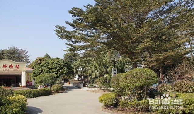东莞元旦去哪玩