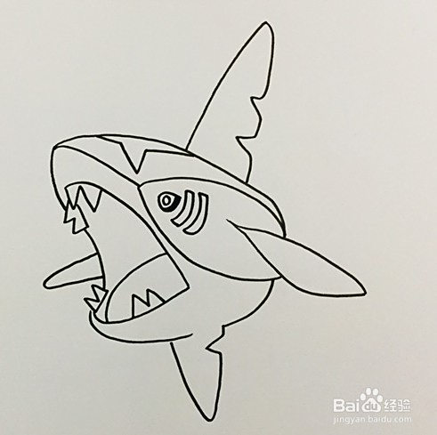 简笔画系列-怎么画巨齿鲨