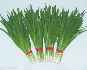 怎样吃韭菜才更营养