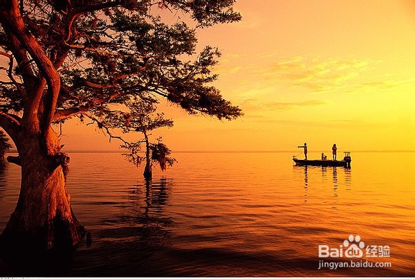 冬季下雨天怎么钓鱼